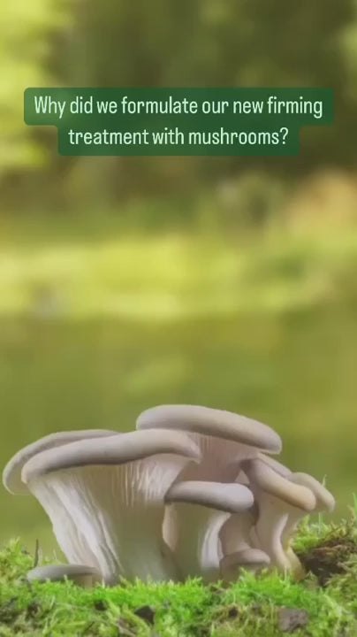 CHAGA | Firming Recovery Complex